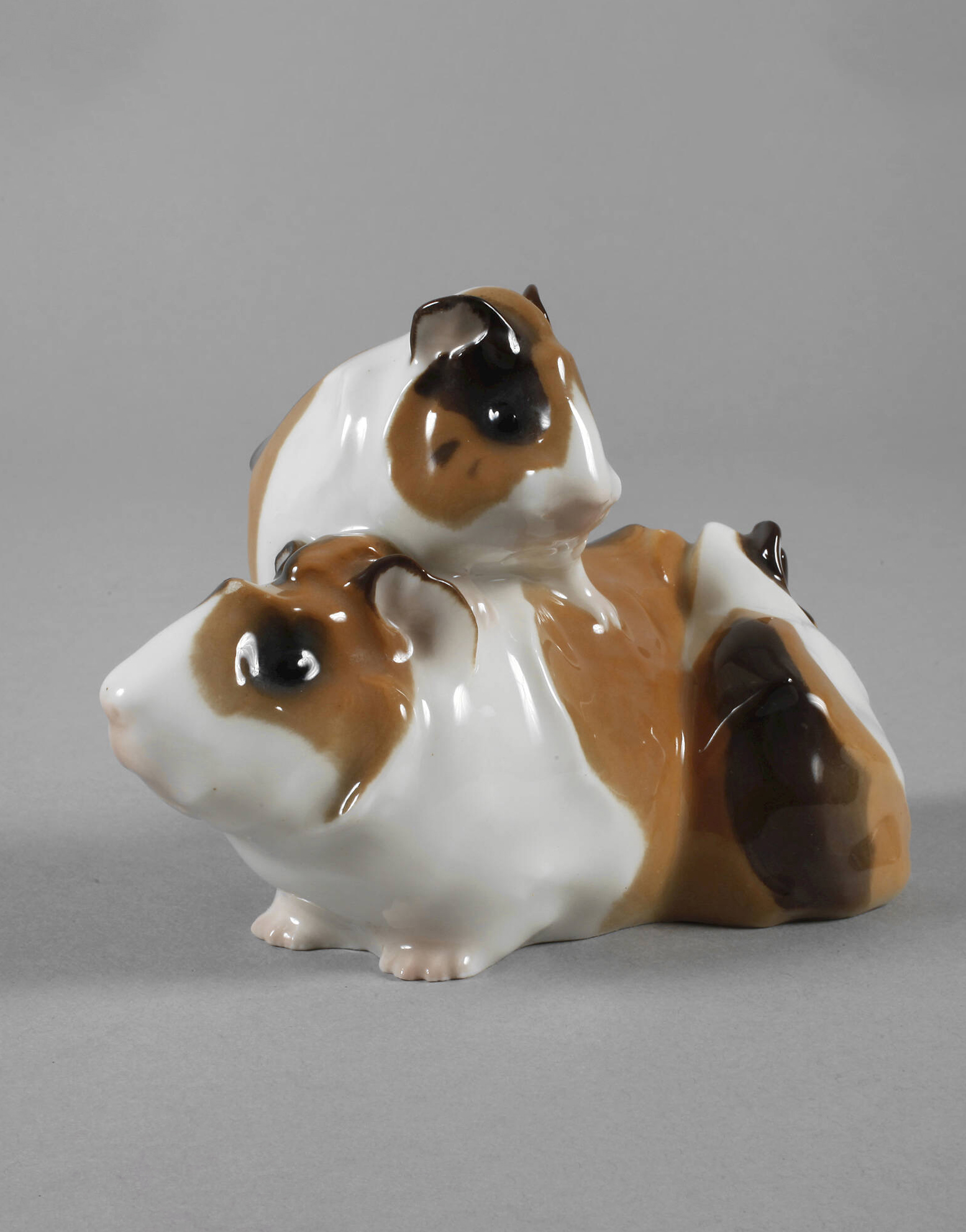 Kpm 9804 Angora Guinea Pig Group By Wilhelm Robra